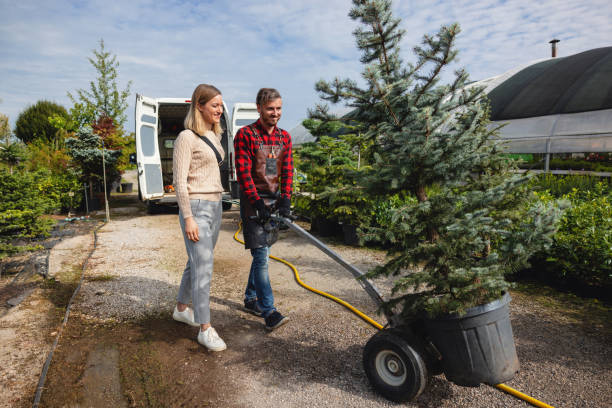 Best Tree Pruning Services  in Hawkins, TX